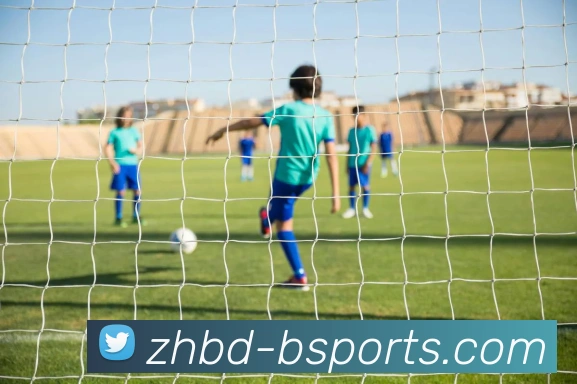 B体育BsportsAPP 封面图